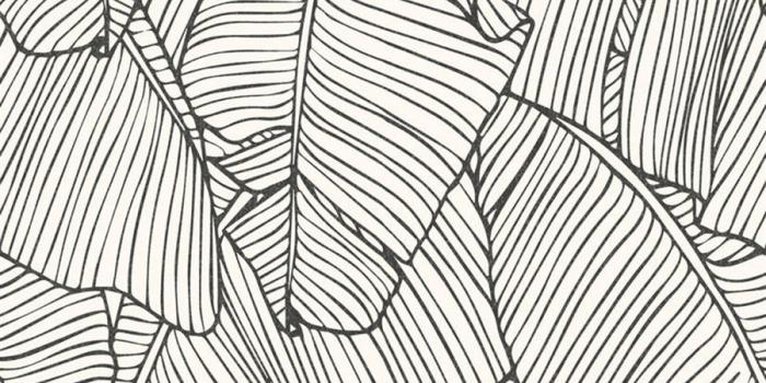 900x900 White Abstract Wallpapers Desktop » Extra Wallpaper 1080p