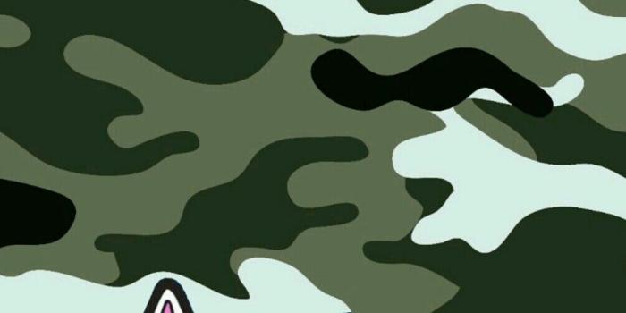 1005x1792 Ripndip iphone wallpaper #ripndip #middle #finger #cat #wallpaper