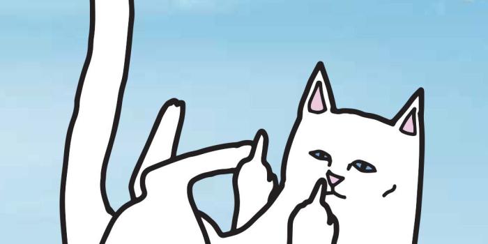 1080x1920 RIPNDIP Wallpapers