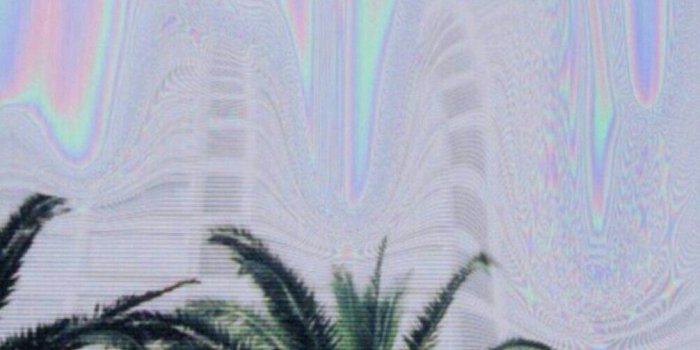 1006x1792 Ripndip iphone wallpaper #ripndip #middle #finger #cat #wallpaper