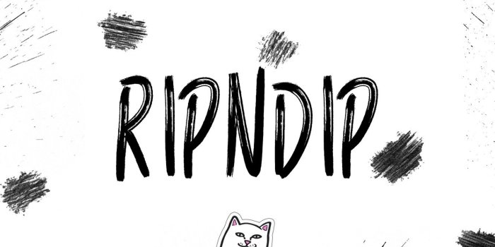 1332x850 Wallpaper white, cat, squirt, cats, white background, firm, mark