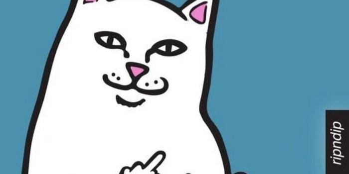 900x900 Lord nerm uploaded by cha on We Heart It