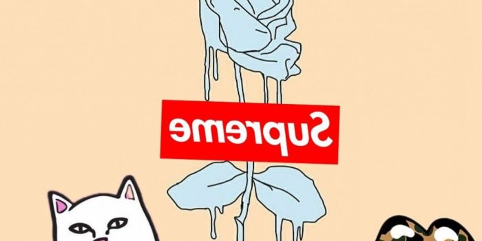 1228x1228 Ripndip Wallpaper Hd , Image Collections Of Wallpapers - Supreme