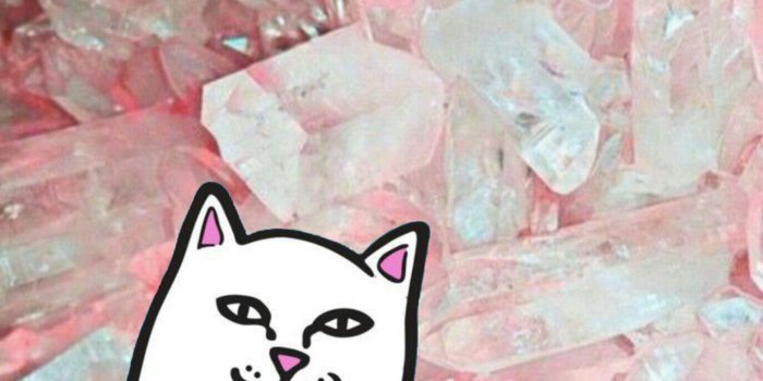 1374x1792 Unique Ripndip Wallpaper – (38+ Pictures) combination | Pomelo Tapet