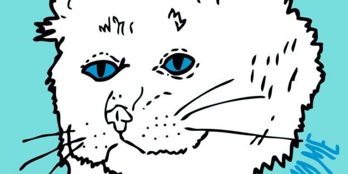 768x1365 Cheap Rip and Dip Cat Wallpaper Regarding Property Ripndip iPhone