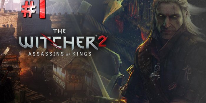 1920x1200 The Witcher 2: Assassins Of Kings HD Wallpaper 12 - 1920 X 1200