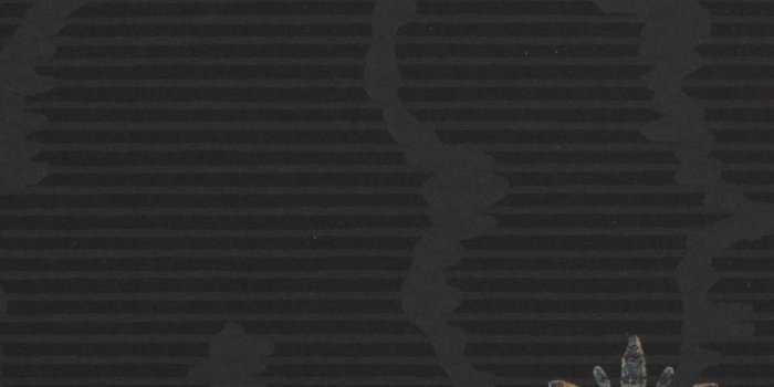 960x960 Wallpaper - Designer Sanderson Patterned Wallpaper WR8558/4