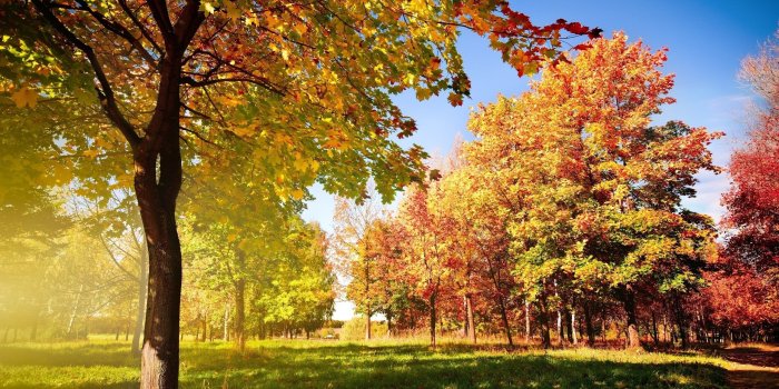 2560x1600 Early Fall Desktop Wallpapers (43+ images)