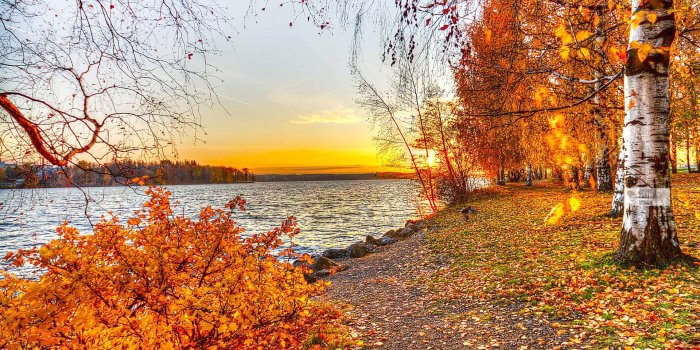 1920x1080 40+ Fall Landscape Desktop Wallpapers - Download at WallpaperBro