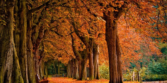 1920x1080 Fall Desktop Backgrounds | 1920×1080 Autumn Desktop Wallpaper