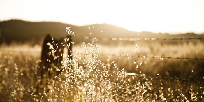 1920x1200 46+ Rustic Wallpapers on WallpaperPlay