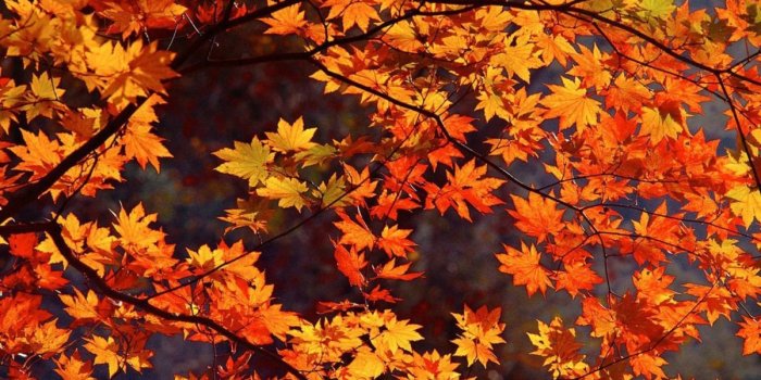 1200x750 25 Awesome Fall Wallpapers For Your Desktop