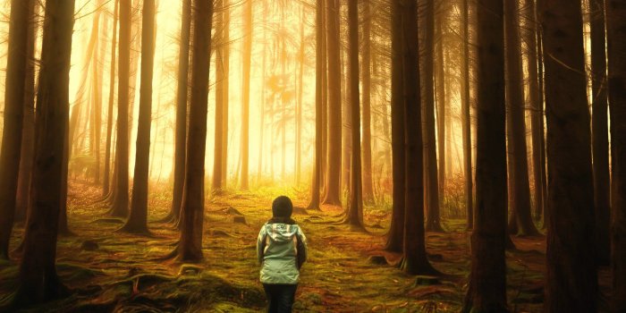 5760x1080 Nature foret forest wallpaper | 5760x1080 | 995275 | WallpaperUP