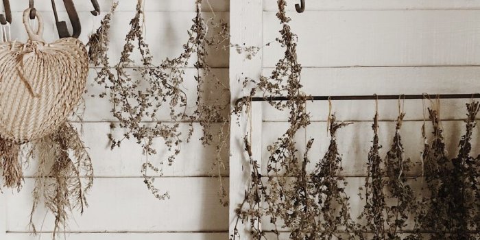 1000x1268 500+ Rustic Pictures | Download Free Images on Unsplash