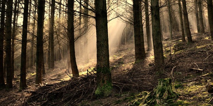 4800x1200 Best 57+ 4800 X 900 Wallpaper on HipWallpaper | 1600 X 900 Wallpaper