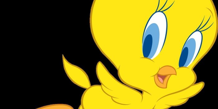 1355x1600 Cartoon Characters Wallpaper – Daily Inspiration Quotes