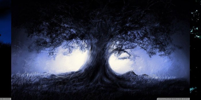 5760x1080 Trees,triple, Ultra HD, Widescreen, Multiple,HD Wallpapers, Multi