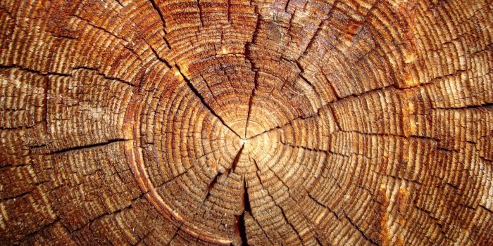 2560x1440 1920x1280 Rustic Christmas Background Wallpapers Merry Decoration