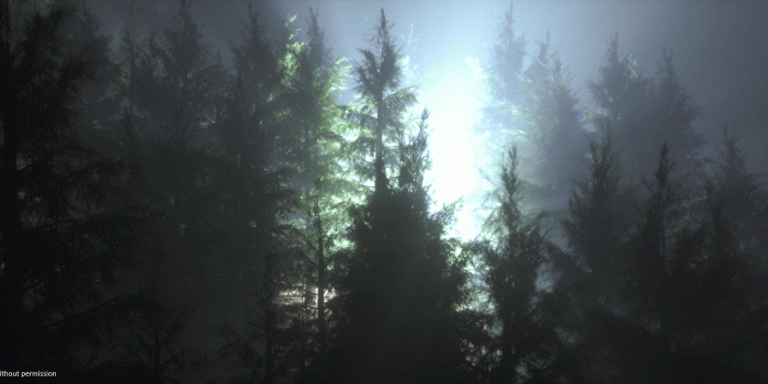 3440x1440 Forest Miracle 3440x1440 | Top reddit wallpapers | R wallpaper