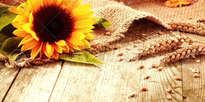 1300x866 Rustic Desktop Backgrounds ✓ Fitrini's Wallpaper