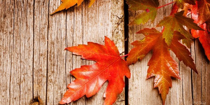 1920x1080 Rustic Autumn HD desktop wallpaper : Widescreen : High Definition