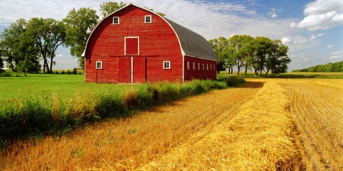 1920x1080 Rustic Fall Autumn Desktop Wallpaper 1920 X 1080_hd