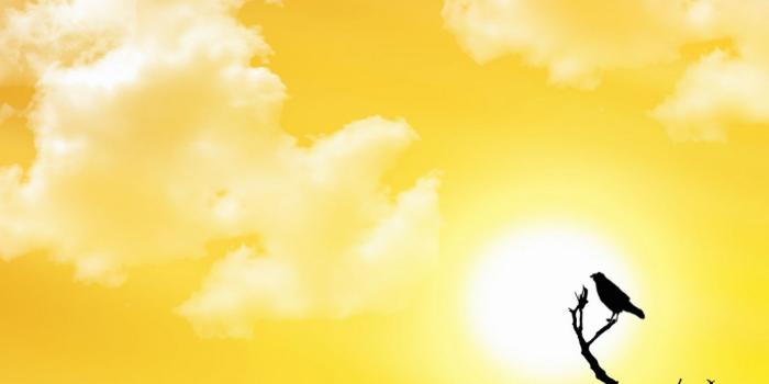 1500x1200 Sunshine Photography | HD Nature Wallpapers for Mobile and Desktop