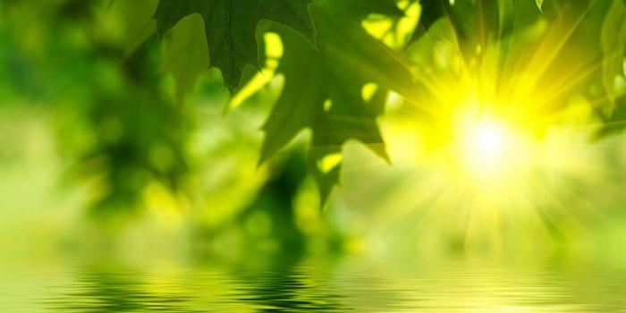 1920x1200 Sunshine Wallpapers - Top Free Sunshine Backgrounds - WallpaperAccess