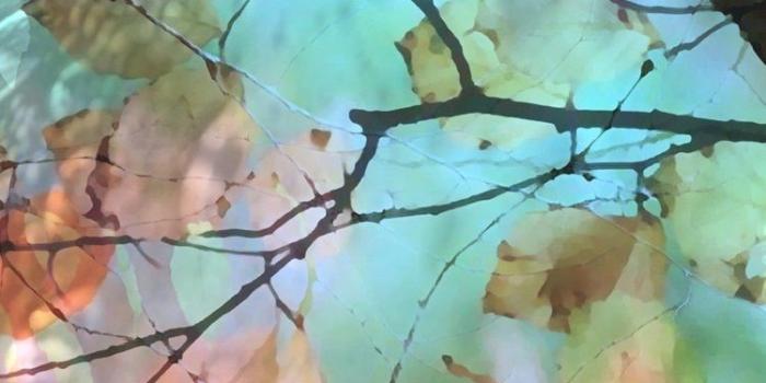 750x1334 Watercolor Iphone Wallpaper Autumn (#310120) - HD Wallpaper Download