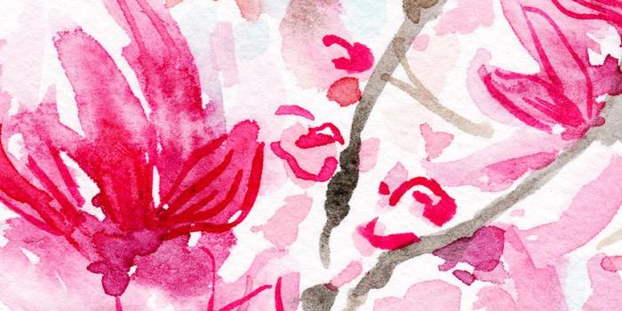 852x1608 Watercolor Wallpaper Flowers Iphone (#30210) - HD Wallpaper Download