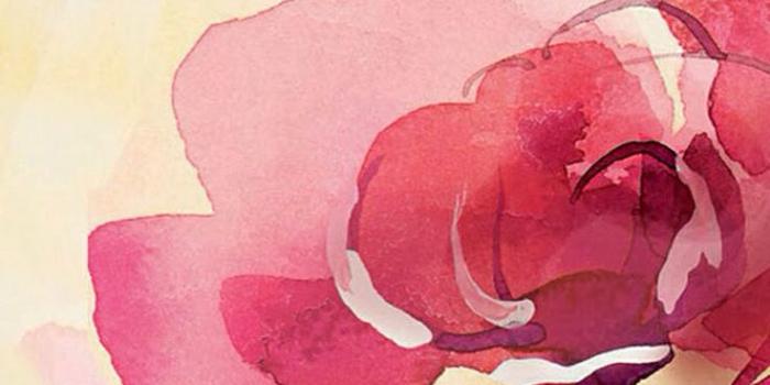 736x1377 48+] Watercolor iPhone Wallpaper on WallpaperSafari