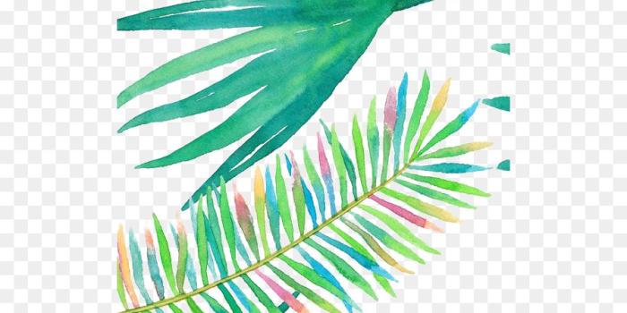 900x1020 Palm Tree Leaf png download - 564*1003 - Free Transparent Iphone 6