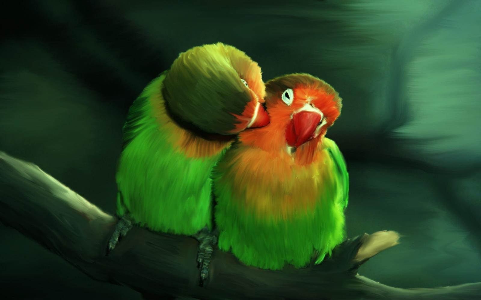 1920x1200 Wallpaper of love birds - Wallpaper of love birds Download Wallpaper