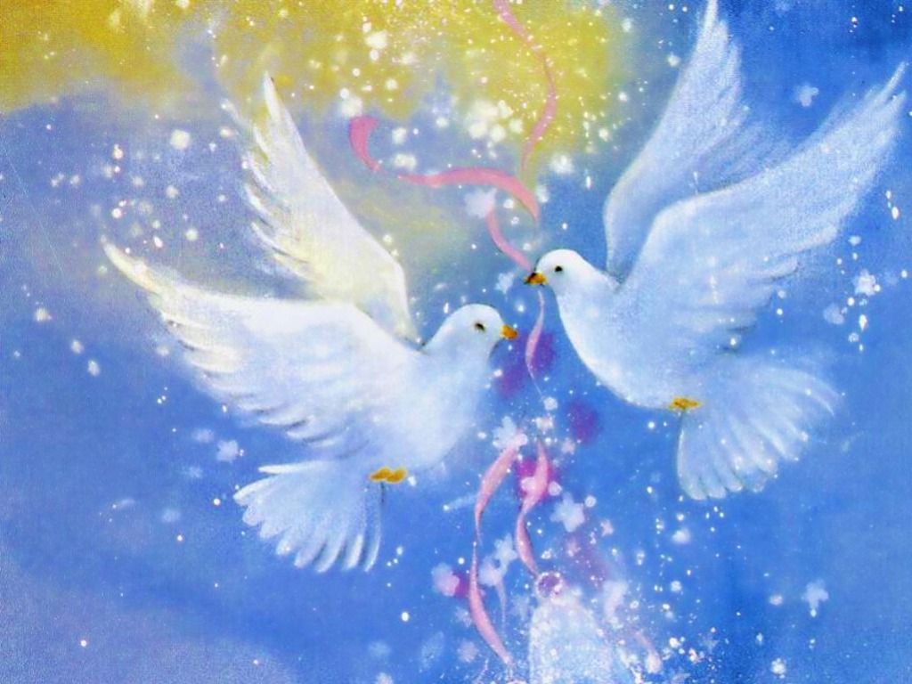 1024x768 Love Birds - cynthia-selahblue (cynti19) Wallpaper (33274613) - Fanpop