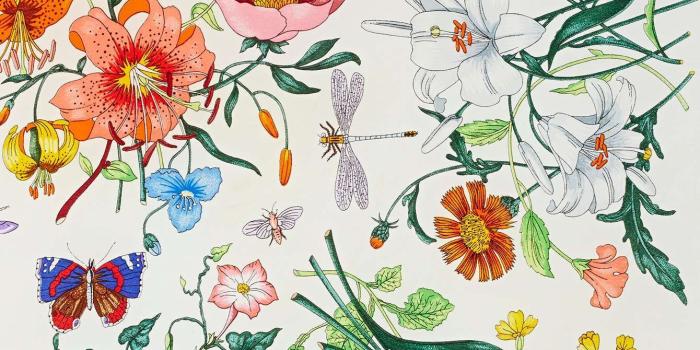 1340x2010 Gucci Butterfly Silk Scarf | Shop Vintage at Nasty Gal