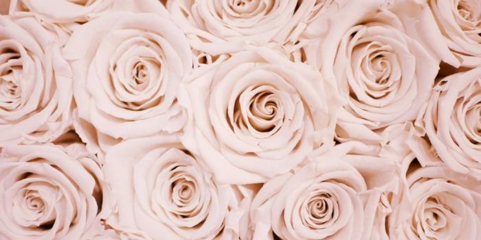 1080x811 Rose Gold Pictures [HQ] | Download Free Images on Unsplash