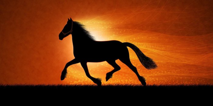 1600x1200 Horse Wallpaper Desktop wallpaper, wallpaper hd | Horse | Horse