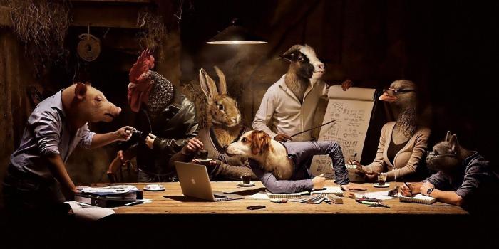 1920x1080 HD Weird Wallpapers