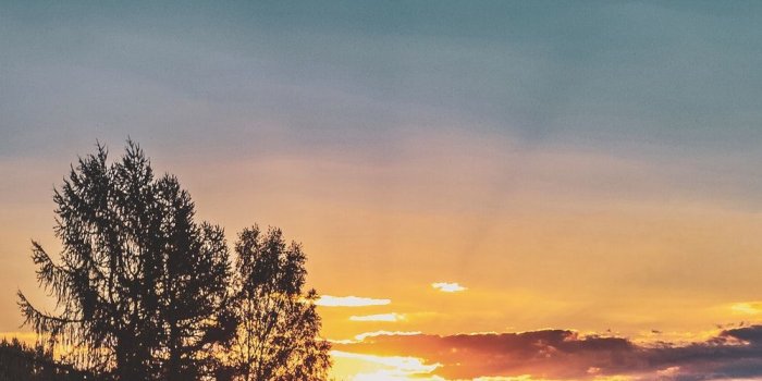 1000x1500 Two Cute Horses wallpaper Gallery