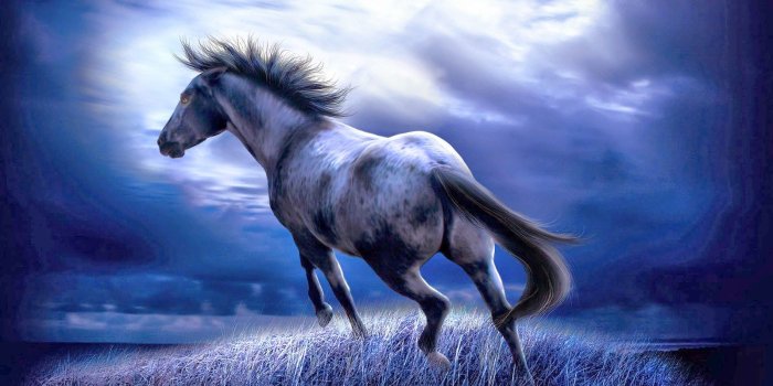 1600x1200 Cute Baby HD Wallpaper: Horse Wallpapers