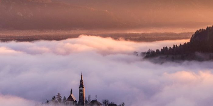 736x1308 Back to Nature iPhone Wallpaper Collection | P H O N E WALLPAPER