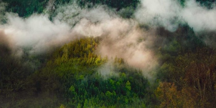 1080x2160 Mountain, fog, clouds, nature, 1080x2160 wallpaper | Sight Lines in