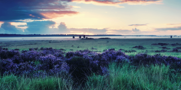 1500x2592 Alyse Green on ♀️idek in 2019 | Nature