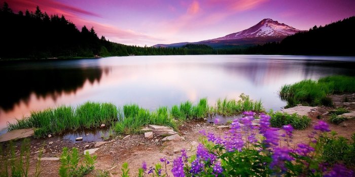 1920x1080 3d Nature Wallpaper Mobile LWR Earth Pinterest Wallpaper, Moving