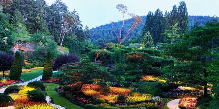 1200x675 Best 25+ Hd nature wallpapers ideas only | Hd apple