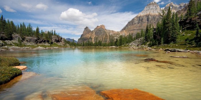 1920x1080 top wallpapers nature Wallpaper Pinterest Nature, Hd 1920x1080