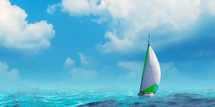 1066x1598 HD Nature Phone Wallpapers - Top Free HD Nature Phone Backgrounds