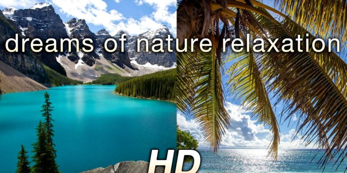 1533x1037 Hd Nature Video Wallpaper Wallpaper For Windows Pinterest - Moraine