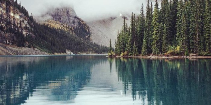 833x1250 Evee Gonzalez on Nature | Nature, Beautiful