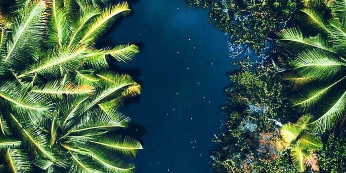 1080x1920 DroneLookx on Drone Photography in 2018 | Nature